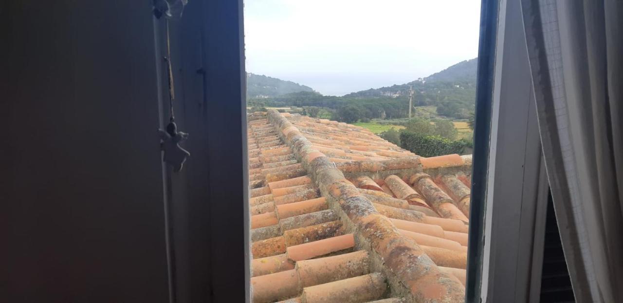 ESTUDIO vistas al mar TAMARIU y bosques de BEGUR Exterior foto