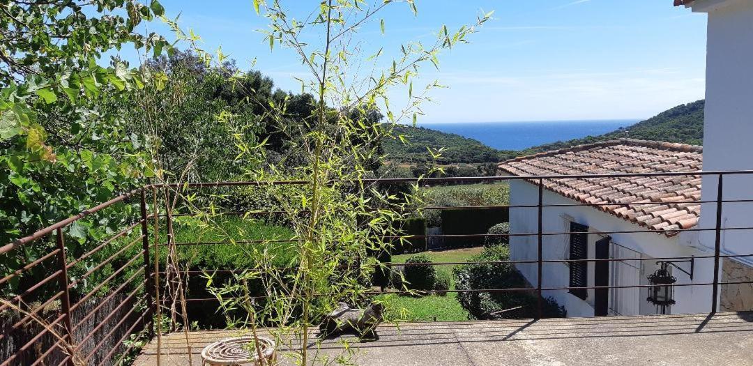 ESTUDIO vistas al mar TAMARIU y bosques de BEGUR Exterior foto