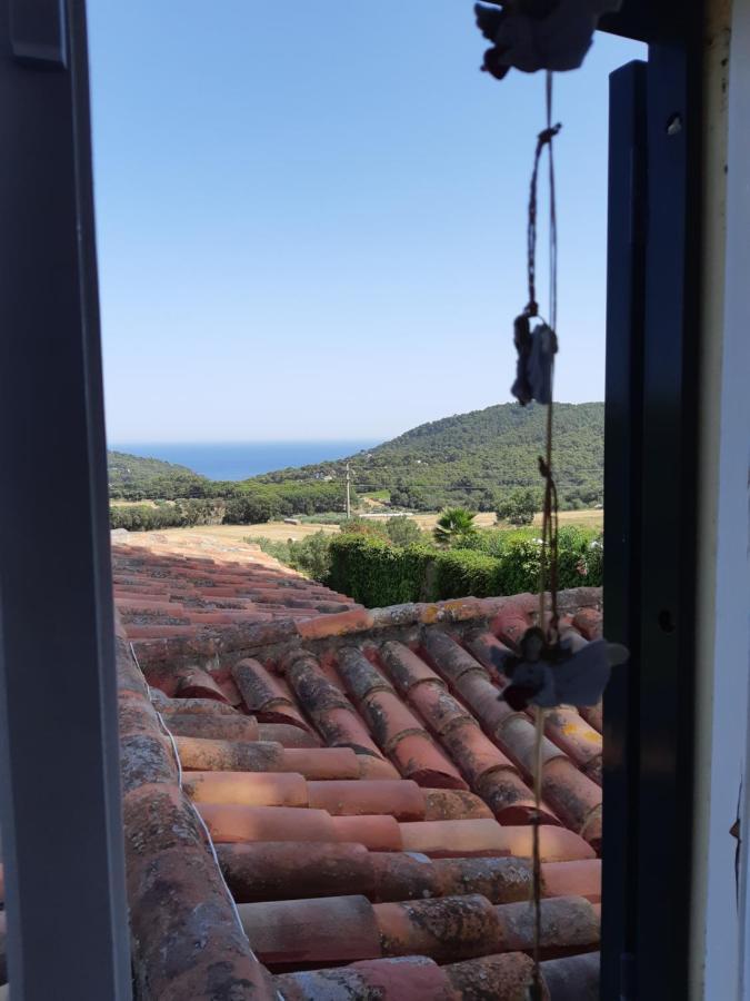 ESTUDIO vistas al mar TAMARIU y bosques de BEGUR Exterior foto
